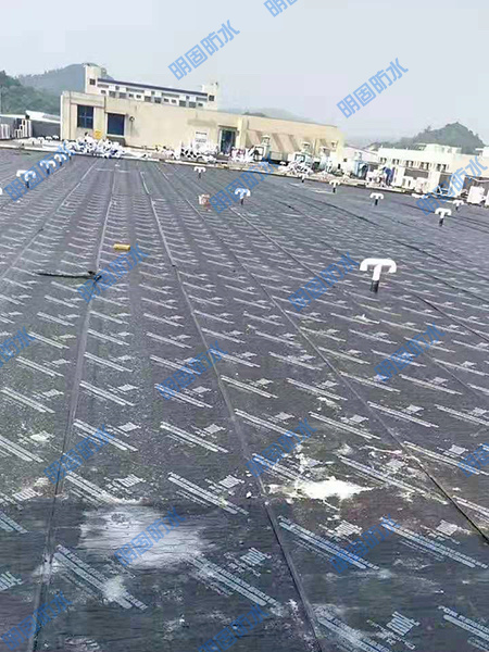 屋面防水工程