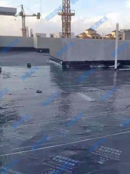 屋面防水与裂缝补强