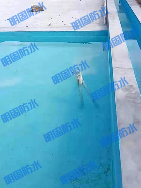鱼池防水工程