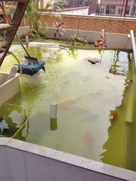 鱼池渗漏